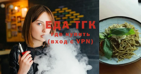 индика Алексин