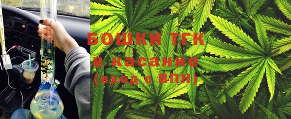 индика Алексин