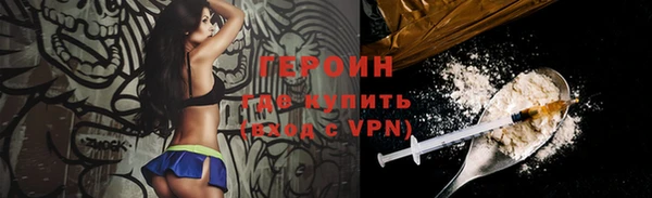 индика Алексин