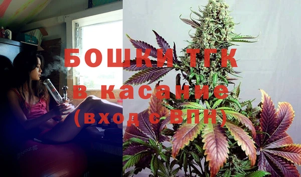 индика Алексин