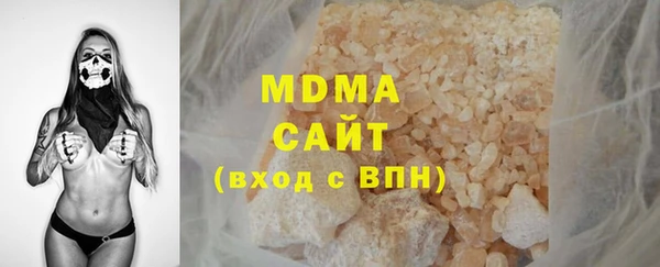 индика Алексин
