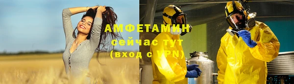 индика Алексин