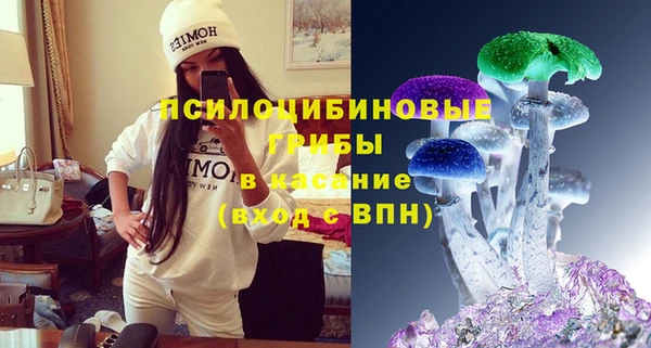 индика Алексин