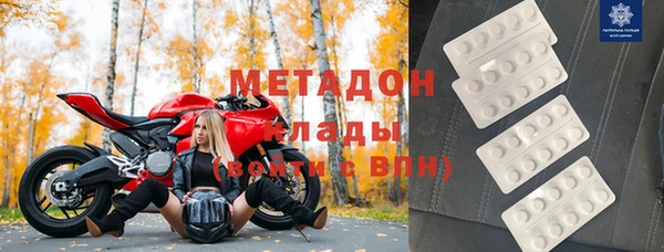 индика Алексин