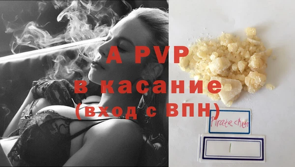 индика Алексин
