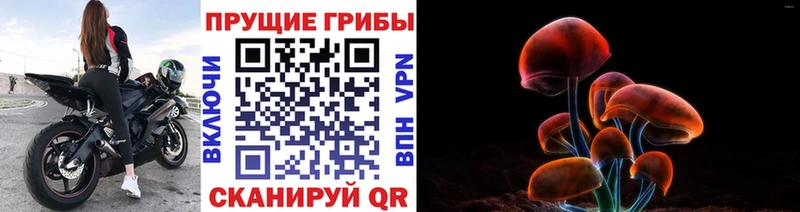 Псилоцибиновые грибы мухоморы Уссурийск